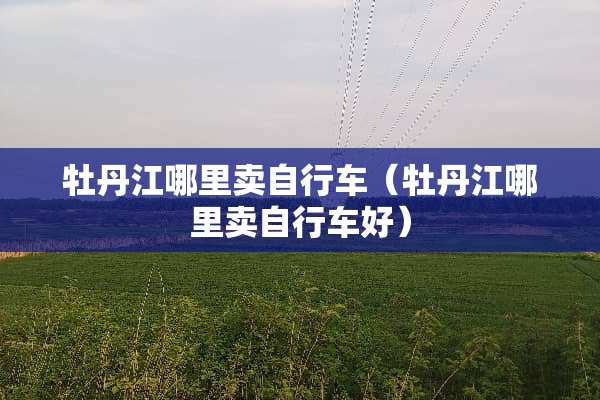 牡丹江哪里卖自行车（牡丹江哪里卖自行车好）