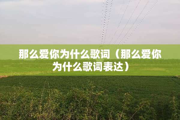 那么爱你为什么歌词（那么爱你为什么歌词表达）