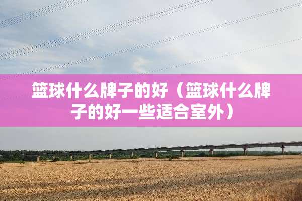 篮球什么牌子的好（篮球什么牌子的好一些适合室外）