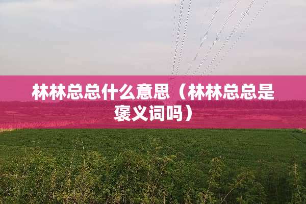 林林总总什么意思（林林总总是褒义词吗）
