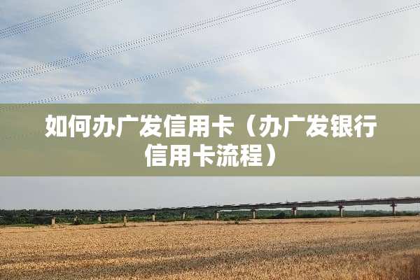 如何办广发***（办广发银行***流程）