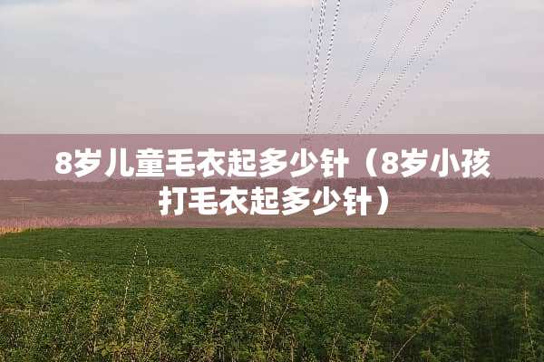 8岁儿童毛衣起多少针（8岁小孩打毛衣起多少针）