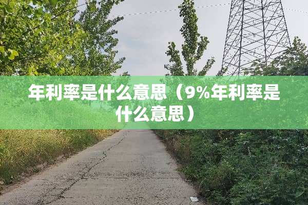 年利率是什么意思（9%年利率是什么意思）