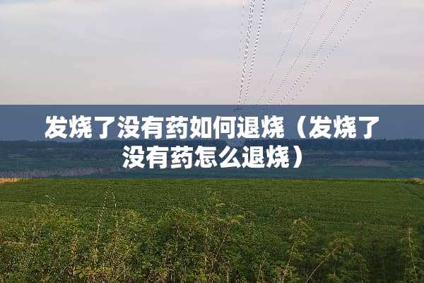 发烧了没有药如何退烧（发烧了没有药怎么退烧）