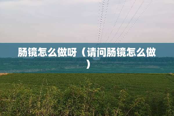 肠镜怎么做呀（请问肠镜怎么做）