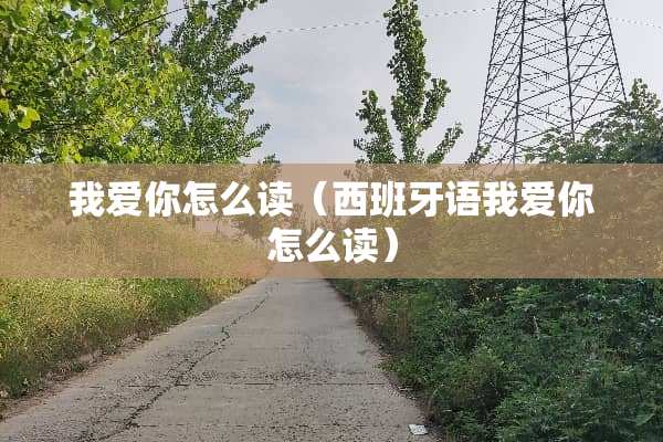我爱你怎么读（西班牙语我爱你怎么读）