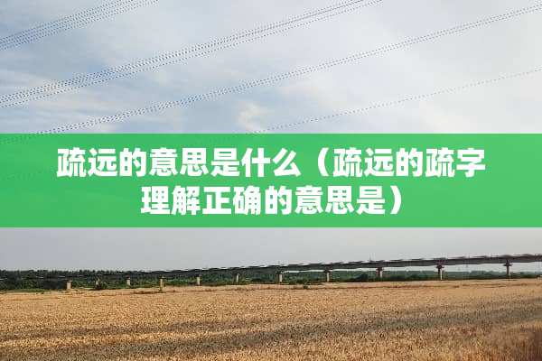 疏远的意思是什么（疏远的疏字理解正确的意思是）