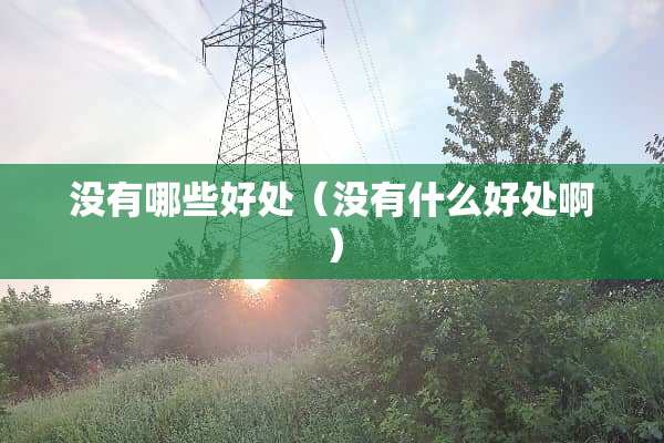 没有哪些好处（没有什么好处啊）