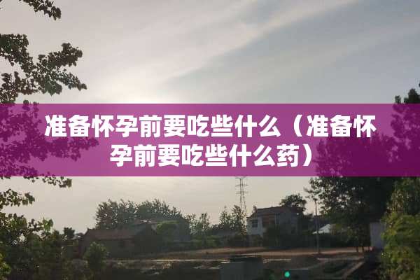 准备怀孕前要吃些什么（准备怀孕前要吃些什么药）