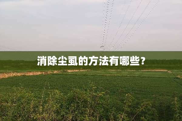 消除尘虱的方法有哪些？
