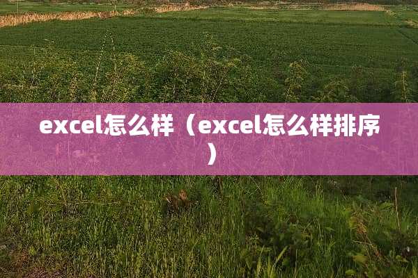 excel怎么样（excel怎么样排序）