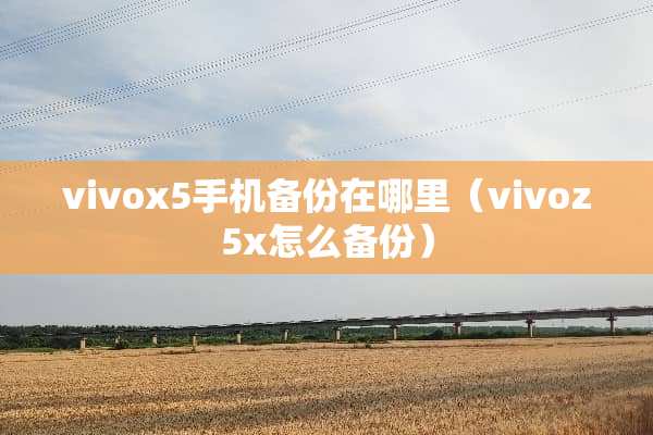 vivox5手机备份在哪里（vivoz5x怎么备份）