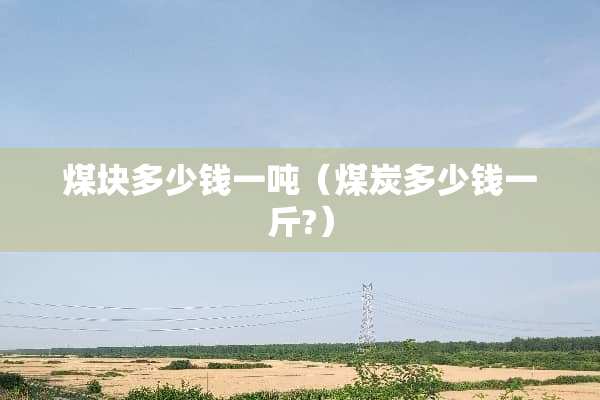 煤块多少钱一吨（煤炭多少钱一斤?）