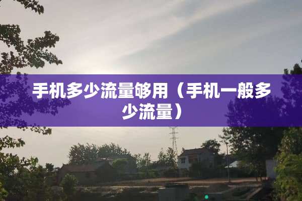 手机多少流量够用（手机一般多少流量）
