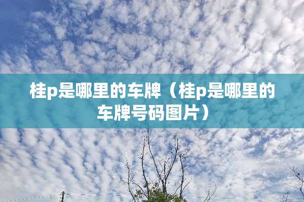 桂p是哪里的车牌（桂p是哪里的车牌号码图片）