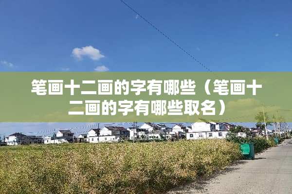 笔画十二画的字有哪些（笔画十二画的字有哪些取名）