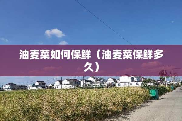 油麦菜如何保鲜（油麦菜保鲜多久）