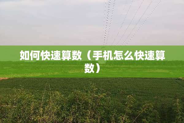 如何快速算数（手机怎么快速算数）