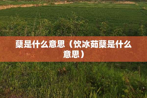 蘖是什么意思（饮冰茹蘖是什么意思）