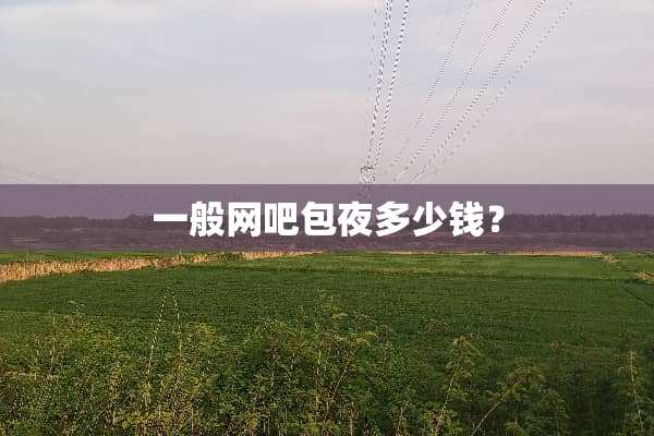 一般网吧**多少钱？