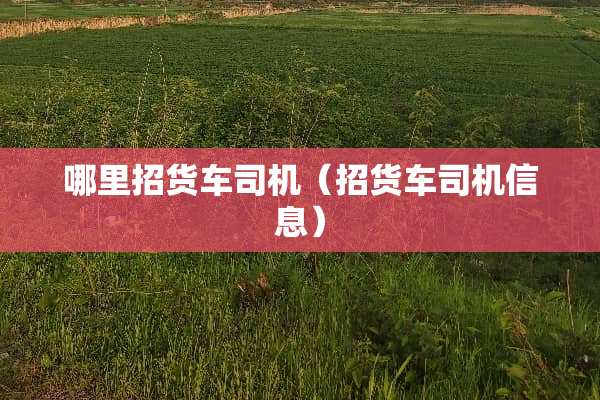 哪里招货车司机（招货车司机信息）