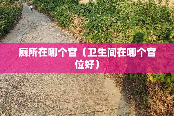 厕所在哪个宫（卫生间在哪个宫位好）