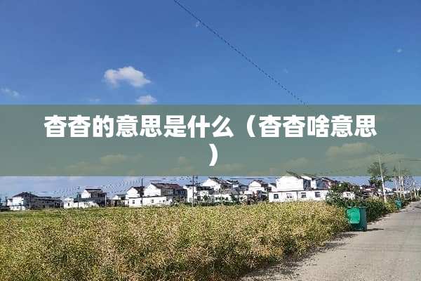 杳杳的意思是什么（杳杳啥意思）