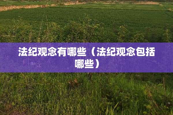 法纪观念有哪些（法纪观念包括哪些）