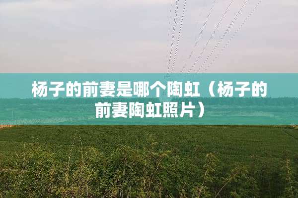 杨子的前妻是哪个陶虹（杨子的前妻陶虹照片）