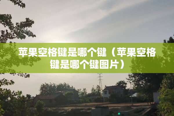 苹果空格键是哪个键（苹果空格键是哪个键图片）