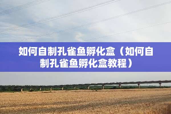 如何自制孔雀鱼孵化盒（如何自制孔雀鱼孵化盒教程）