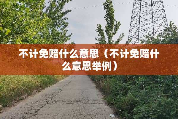 不计免赔什么意思（不计免赔什么意思举例）