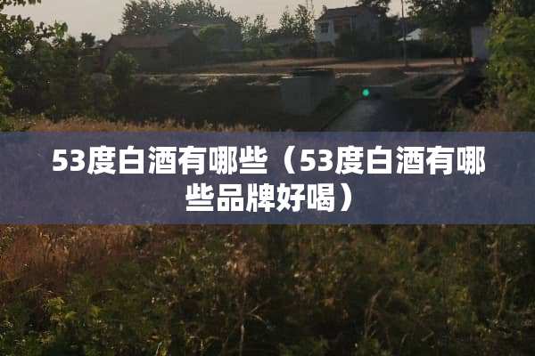 53度白酒有哪些（53度白酒有哪些品牌好喝）