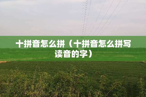 十拼音怎么拼（十拼音怎么拼写读音的字）