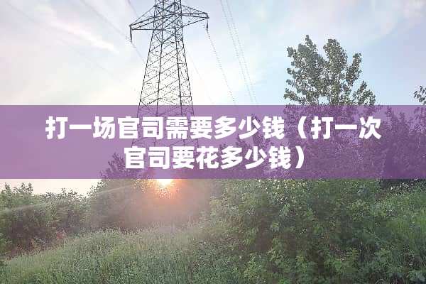 打一场官司需要多少钱（打一次官司要花多少钱）