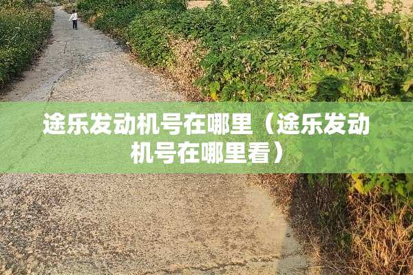途乐发动机号在哪里（途乐发动机号在哪里看）