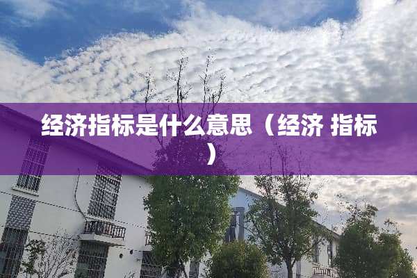 经济指标是什么意思（经济 指标）