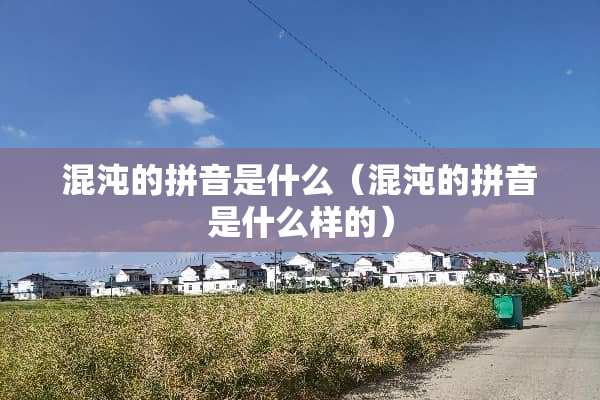 混沌的拼音是什么（混沌的拼音是什么样的）