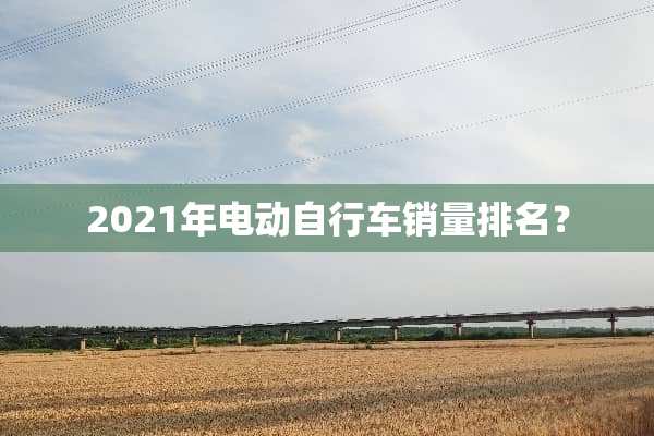 2021年电动自行车销量排名？