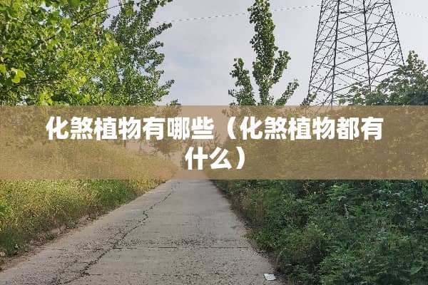 化煞植物有哪些（化煞植物都有什么）