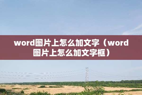 word图片上怎么加文字（word图片上怎么加文字框）