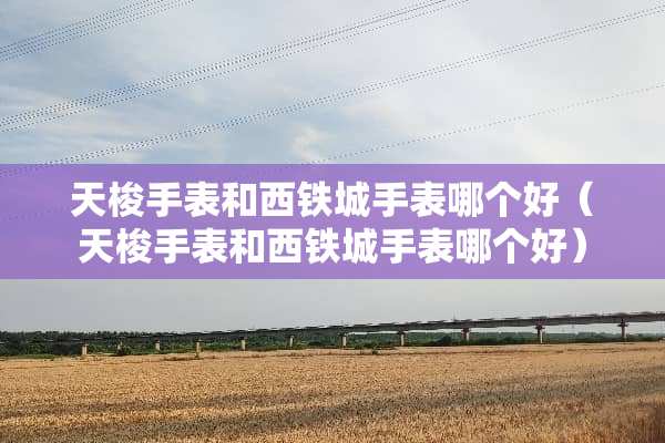 天梭手表和西铁城手表哪个好（天梭手表和西铁城手表哪个好）