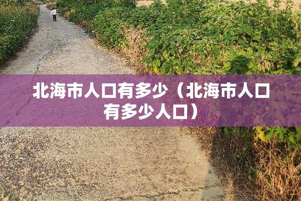 北海市人口有多少（北海市人口有多少人口）