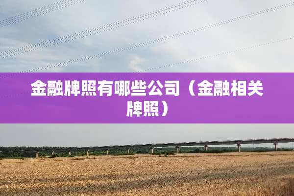 金融牌照有哪些公司（金融相关牌照）