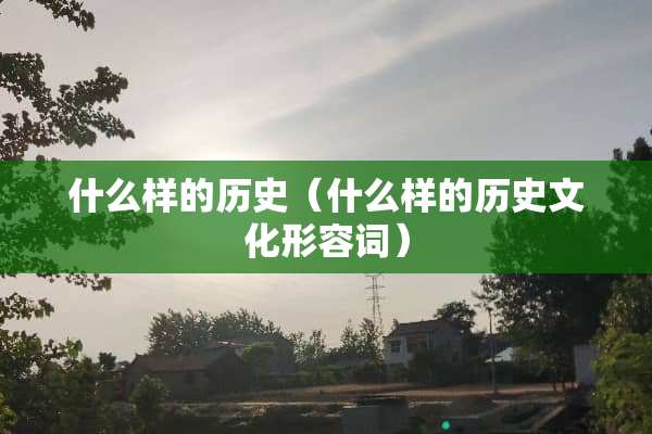 什么样的历史（什么样的历史文化形容词）