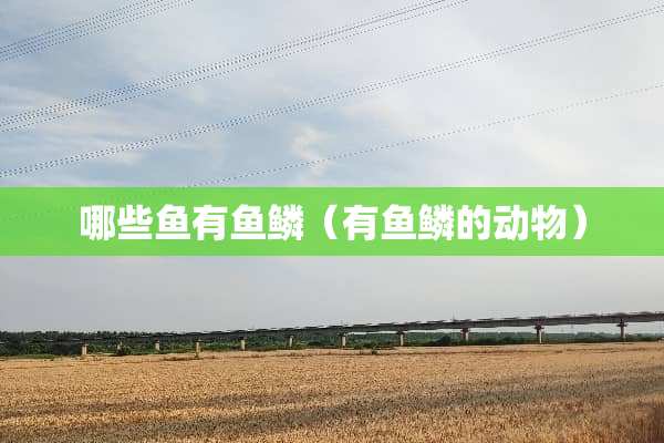 哪些鱼有鱼鳞（有鱼鳞的动物）
