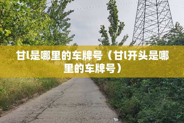 甘l是哪里的车牌号（甘l开头是哪里的车牌号）