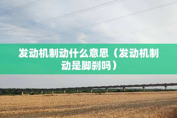 发动机制动什么意思（发动机制动是脚刹吗）