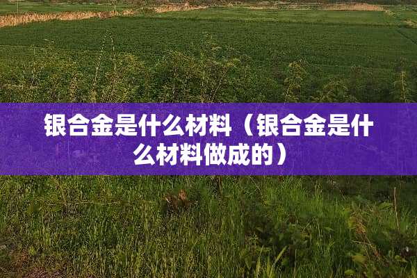 银合金是什么材料（银合金是什么材料做成的）