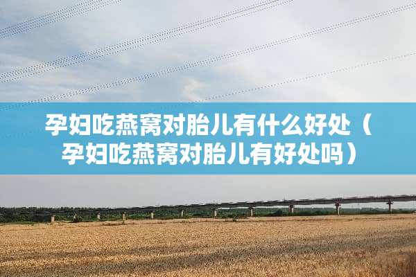孕妇吃燕窝对胎儿有什么好处（孕妇吃燕窝对胎儿有好处吗）